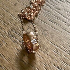 Snake Bone Necklace